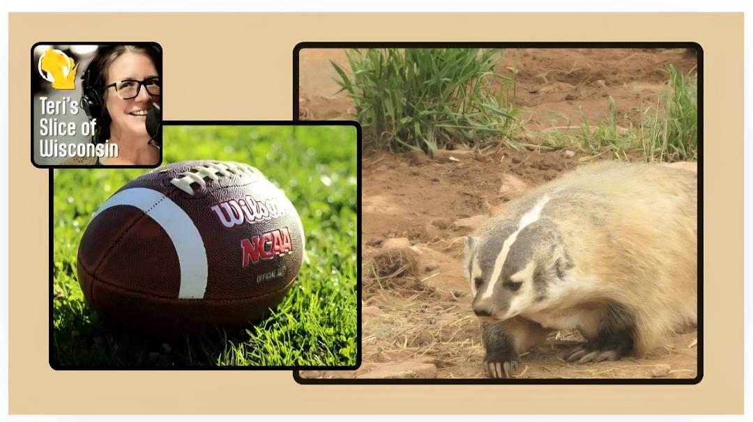 Everything You May Not Know about Wisconsin and the Badgers